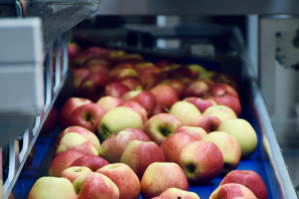 Food sector