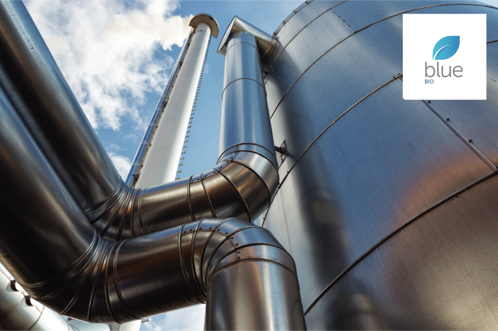 Incentives for use of heat from biomass | Blue Bio 1 Blue Bio - Incentives for Use of Heat from Biomass
