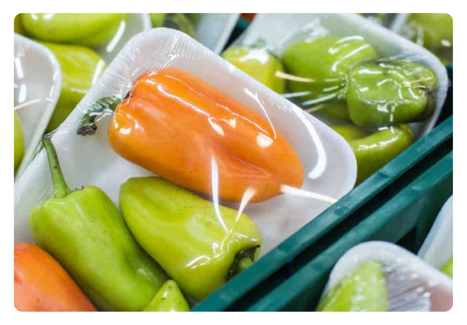 transizione energetica settore alimentare