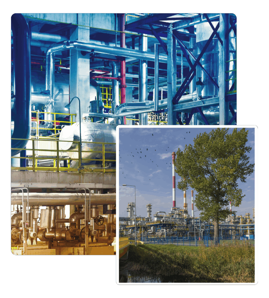 Generazione e gestione dei Titoli di Efficienza Energetica | White Plus 21 Transizione Energetica per la Tua Azienda con Weeg