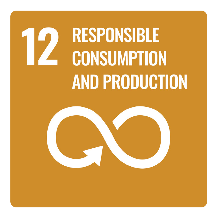 obiettivo12 consumo responsabile sdg whitenenergy
