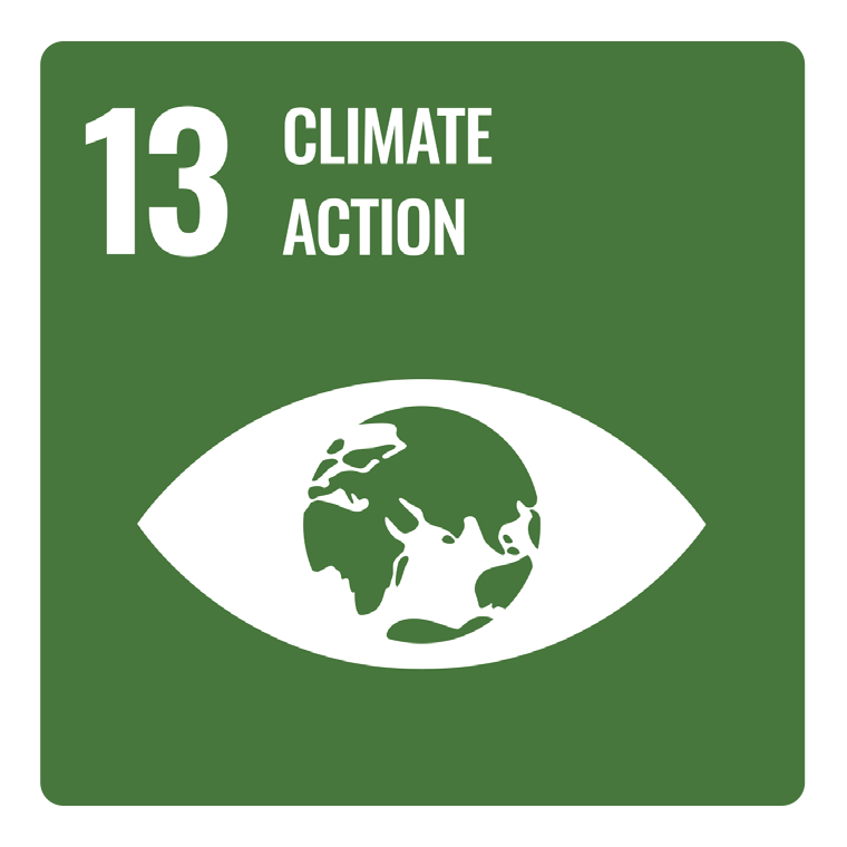 obiettivo13 climate action sdg whitenenergy