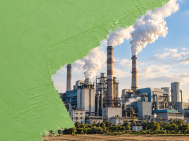 WE Articolo Greenwashing