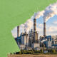 WE Articolo Greenwashing