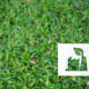 iStock 1054176852 2