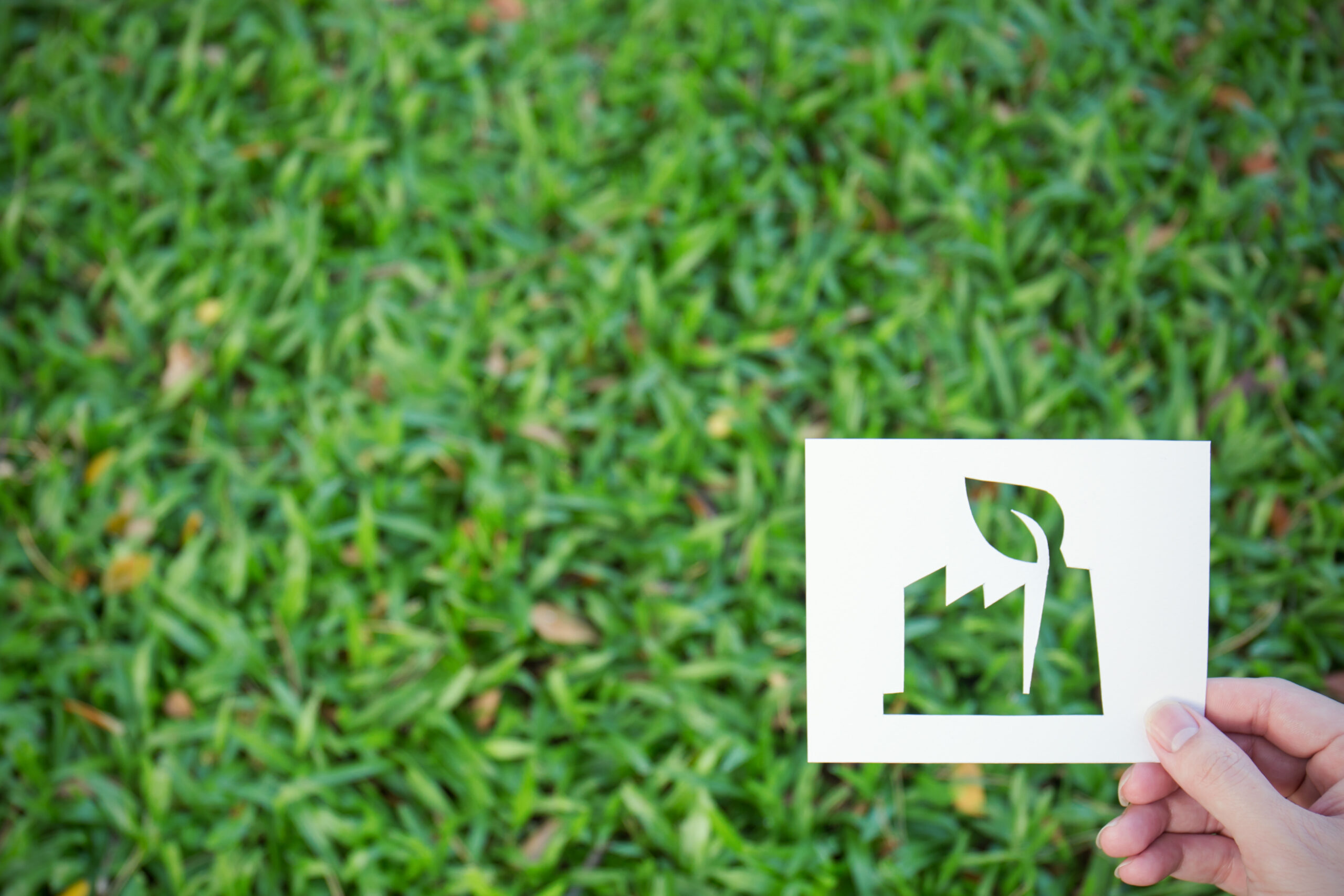 iStock 1054176852 2 scaled